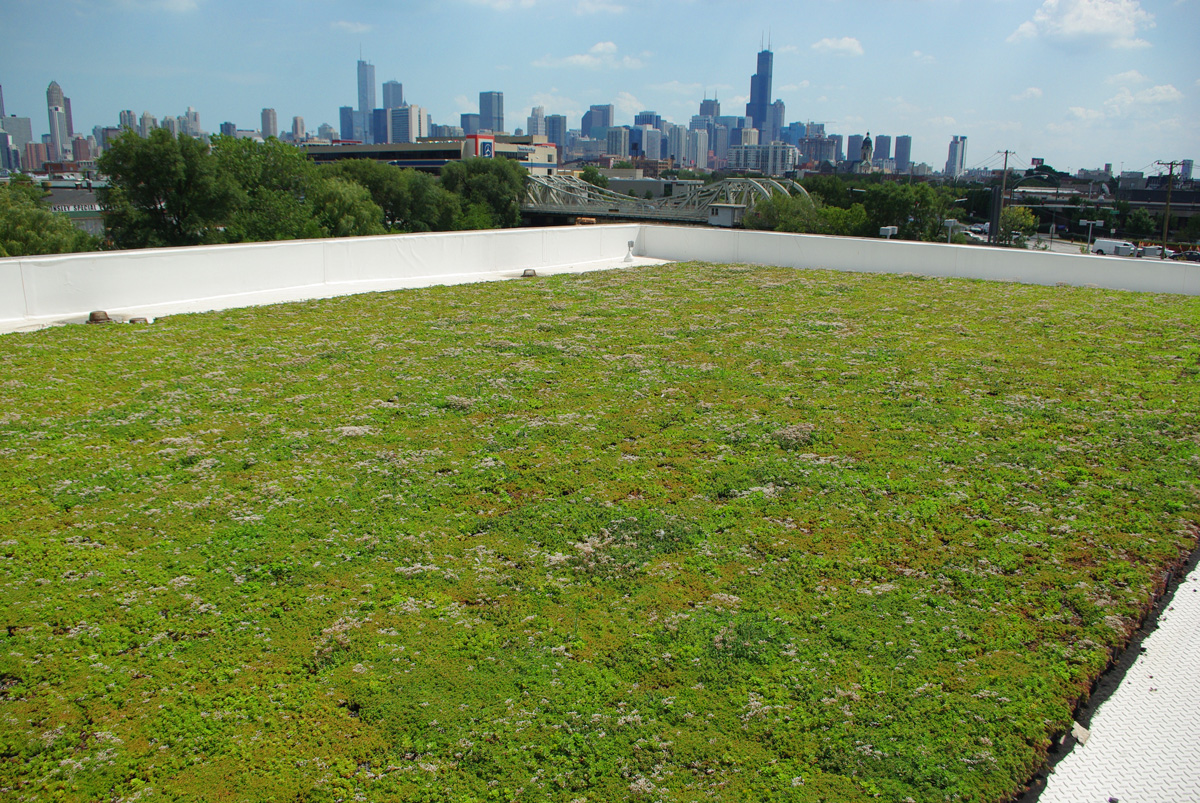 Green Roof Waterproofing
